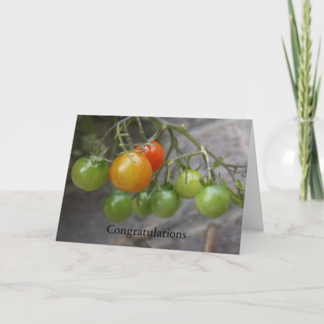 Carte de félicitations de plante de tomate (Devant)
