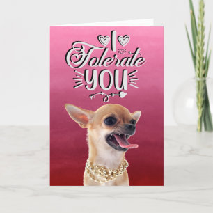 Carte de fête de la Saint-Valentin de Chihuahua en