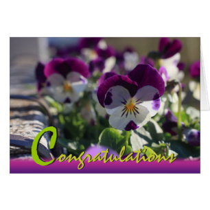Carte de fête des fleurs CC0473 Pansies