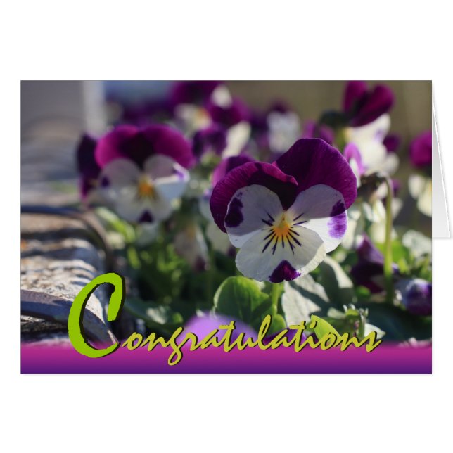 Carte de fête des fleurs CC0473 Pansies (Devant horizontal)