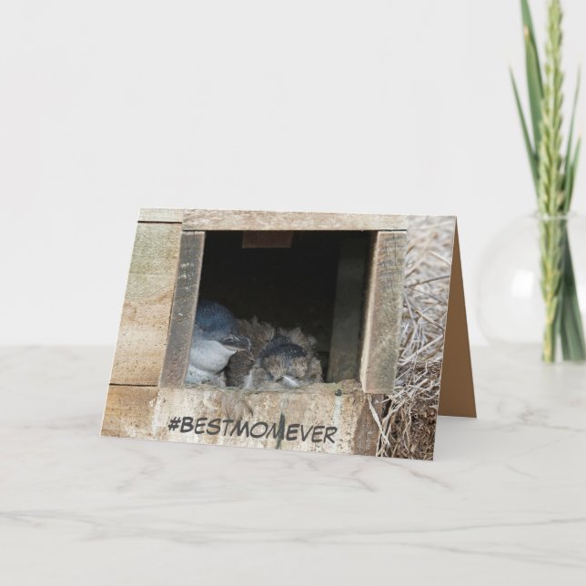 Carte de fête des mères avec des petits pingouins (Devant)