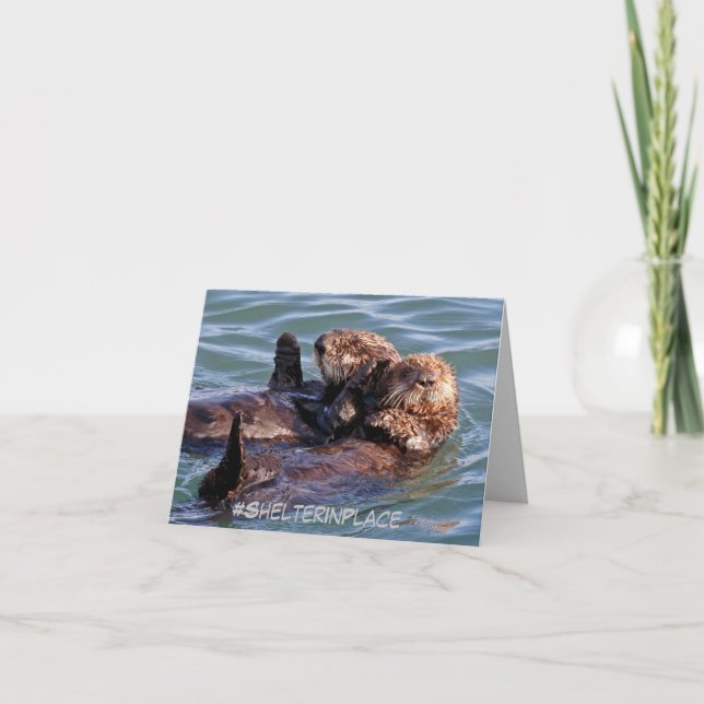 Carte de fête des mères avec famille de la loutre  (Devant)