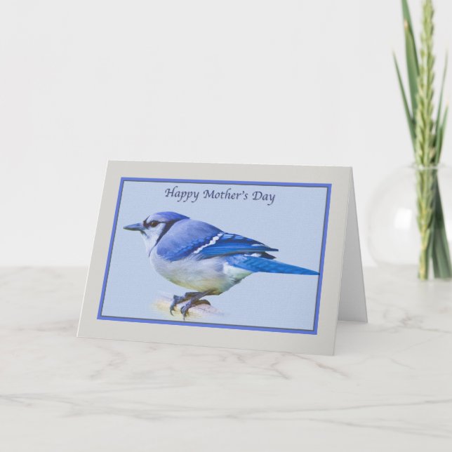 Carte de fête des mères avec Oiseau bleu Jay (Devant)