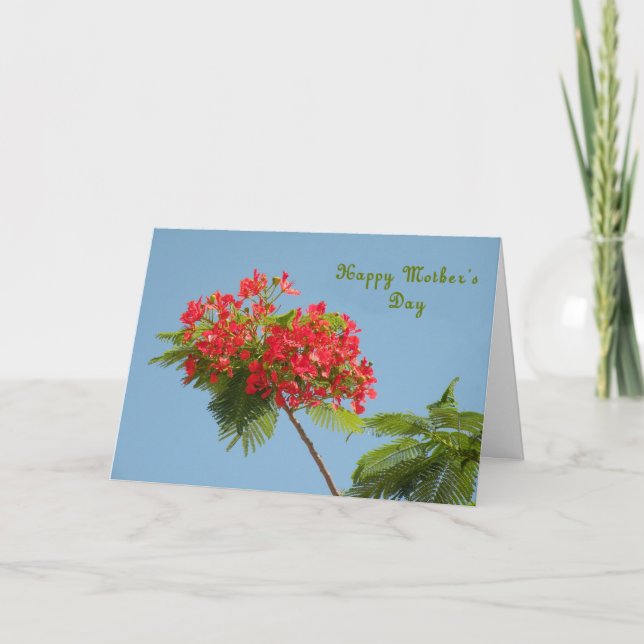 Carte de Fête des Mères avec une Fleur Royale de P (Devant)