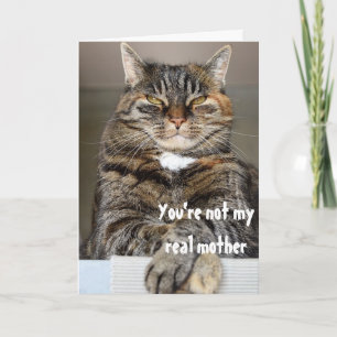 Carte de fête des mères Chat Angry Judgmental
