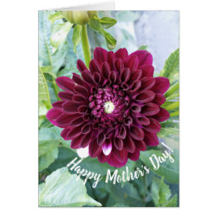 Carte de fête des mères de la Fleur Dahlia violet 