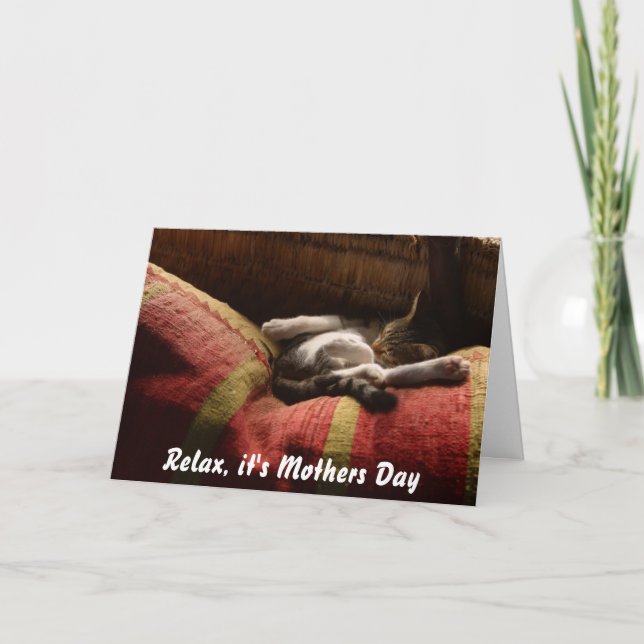 Carte de fête des mères du chat couché sur le cana (Devant)