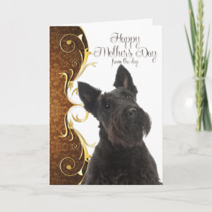 Carte de fête des mères écossaises