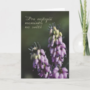 Carte de fête des mères en tchèque