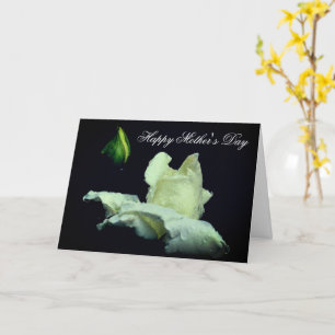 Carte de Fête des Mères Fleurs Rosebud Blanche