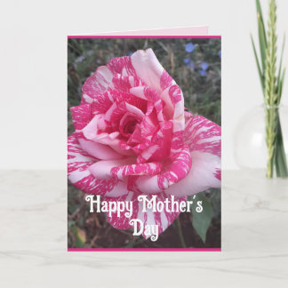 Carte de Fête des Mères Fleurs Roses Florales Rose