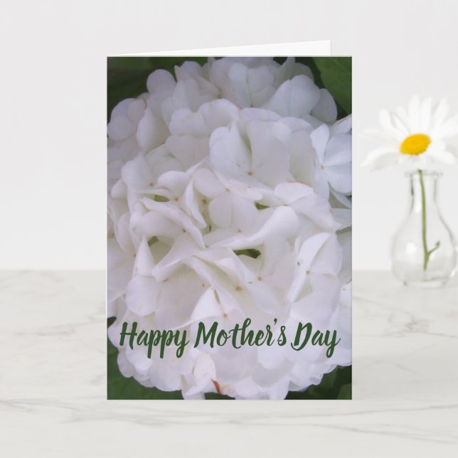 Carte de Fête des Mères Florale Snowball Bloom (Petite plante)