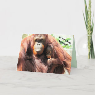 Carte de fête des mères pour la meilleure maman du