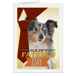 Carte de Fête des pères Blue Merle Sheltie