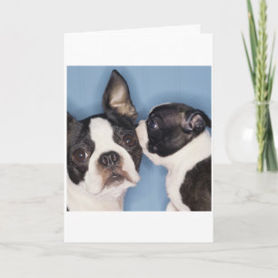 Carte de fête des pères de Boston Terrier