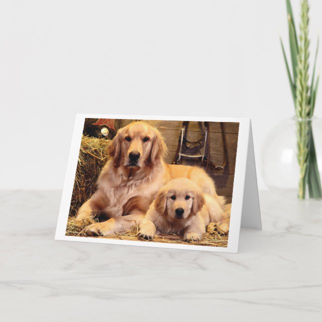 Carte de Fête des pères Golden Retriever (Devant)