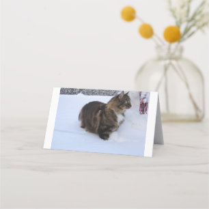 Carte De Fidélité chat des forêts norvégiennes dans la neige