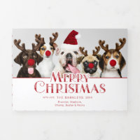 Typographie joyeux Noël animal | Photo | Points