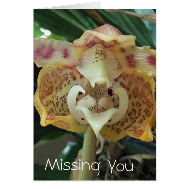 Carte de fleur jaune unique pour te manquer (Devant)