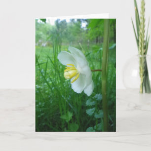 Carte de fleurs Apple