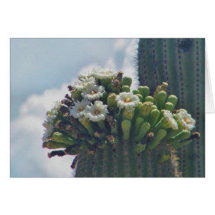 carte de fleurs de cactus saguaro