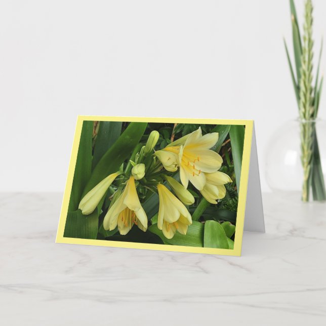 Carte de fleurs de clivea jaune avec bordure jaune (Devant)