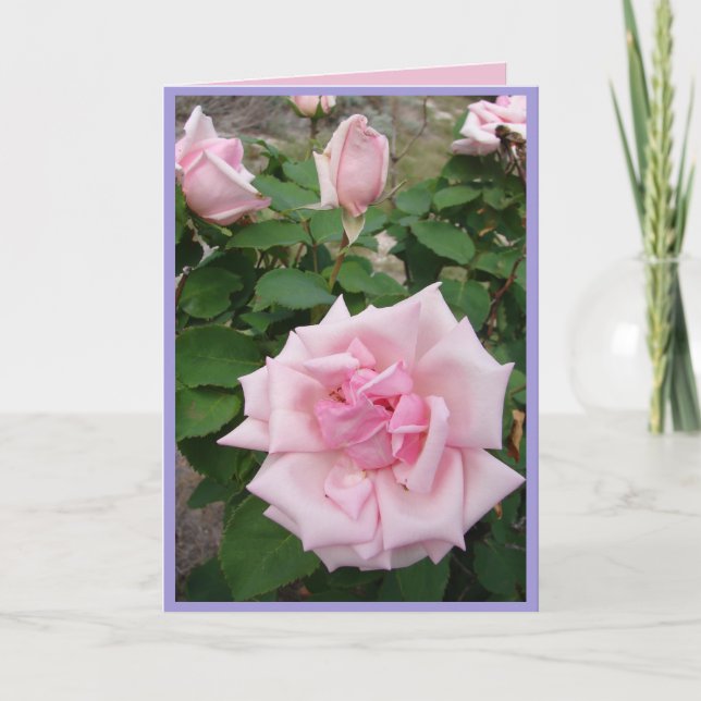 Carte de fleurs de jardin de roses vintage roses (Devant)