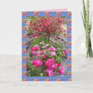 Carte de fleurs de jardin Vintages rouges Roses