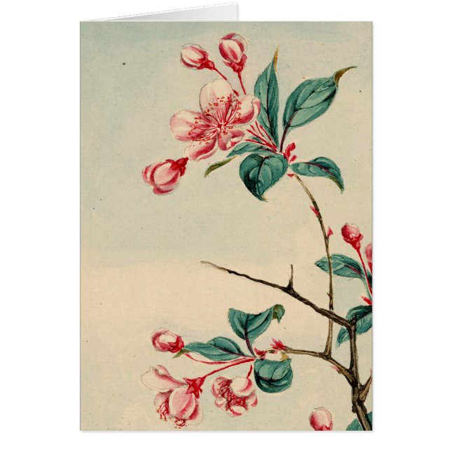 Carte de fleurs de prunier (Devant)