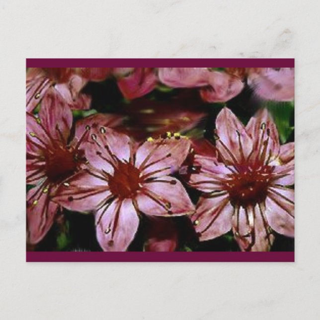 Carte de fleurs rouges peintes (Devant)