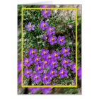 Carte de fleurs sauvages