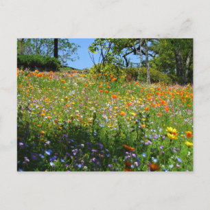 Carte de fleurs sauvages de Napa