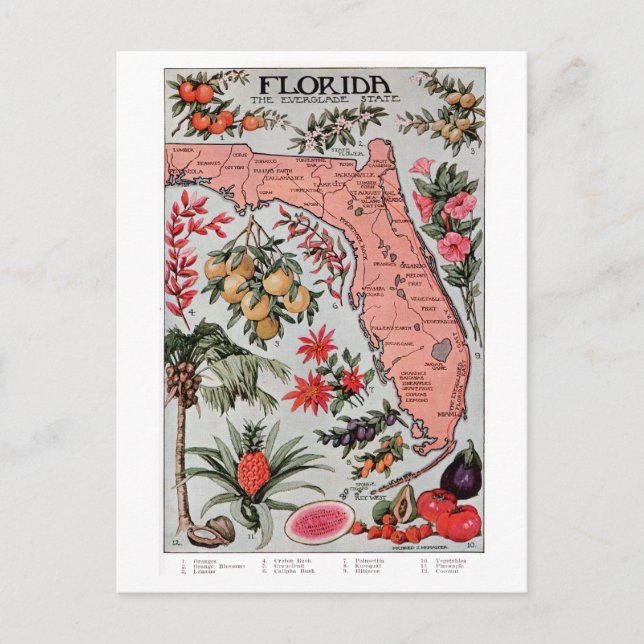 Carte de Floride vintage (Devant)