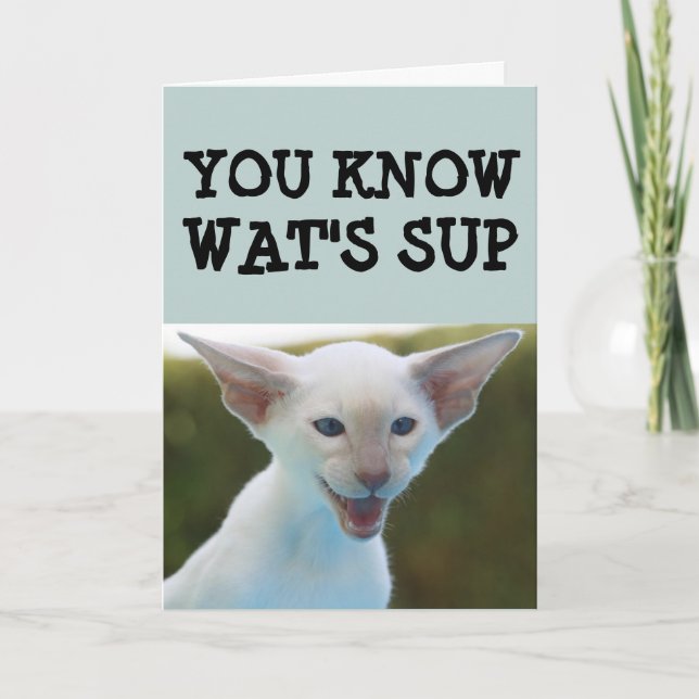CARTE DE FUNNY DE NAISSANCE CAT (Devant)