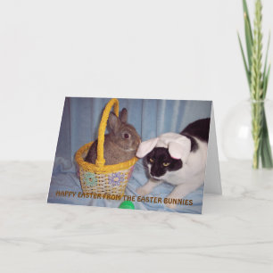 CARTE DE FUNNY EASTER
