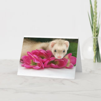 Carte de furet
