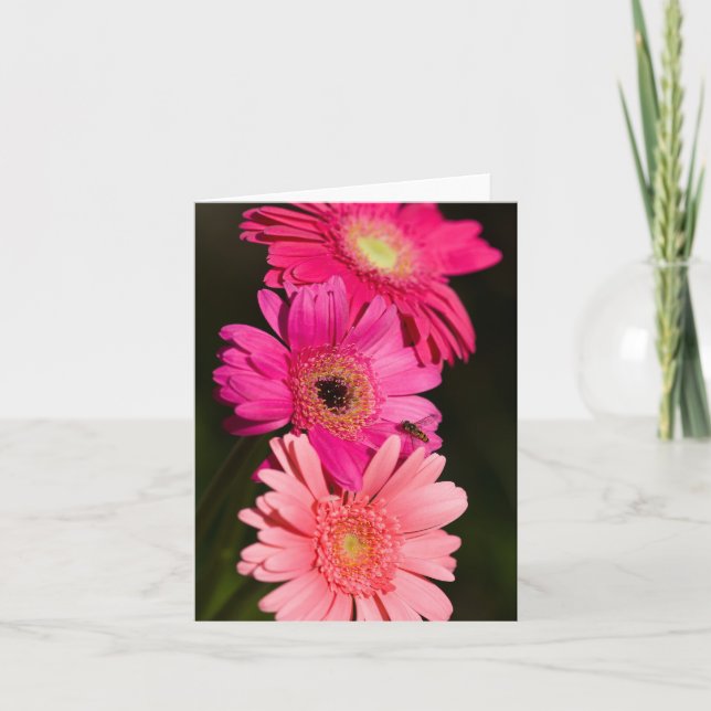 Carte de Gerberas (Devant)
