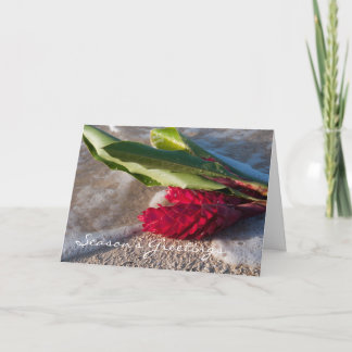 Carte de gingembre rouge