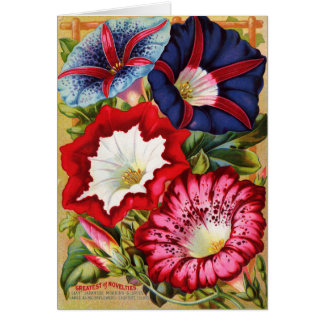 Carte de gloires de matin