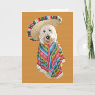 Carte de Goldendoodle Cinco De Mayo