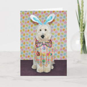 Carte de Goldendoodle Pâques
