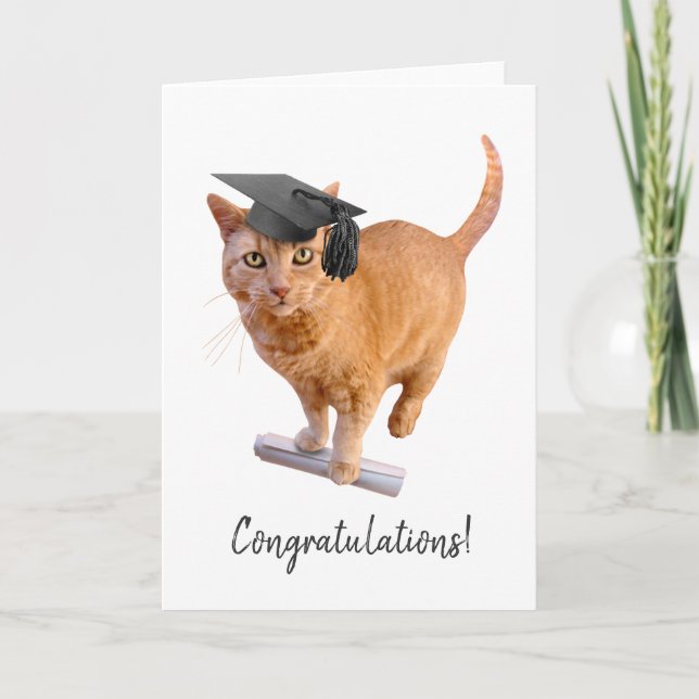 Carte de graduation de chats orange (Devant)