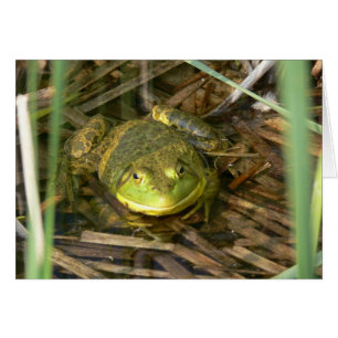 Carte de grenouille mugissante