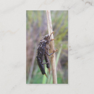 Carte de guide de pêche de mouche