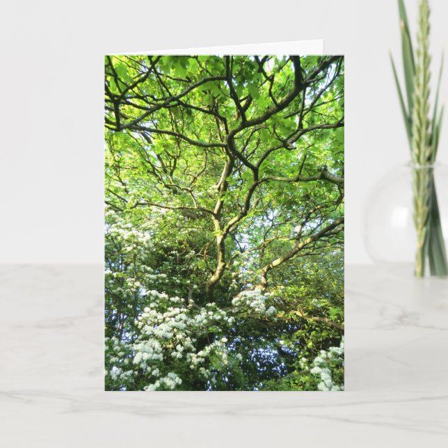 Carte de Handfasting d'aubépine et de chêne (Devant)