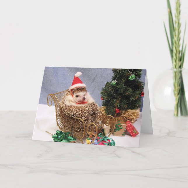 Carte de hérisson de Noël (Devant)