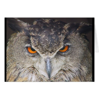 Carte de hibou