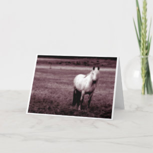 Carte de Horse Greetings