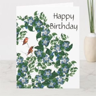 Carte de Hummingbird Birds