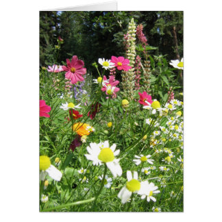 Carte de jardin sauvage